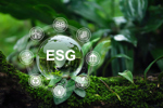 ESG - The emergence of green leases