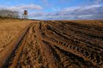 Flemish soil decree: some relevant changes